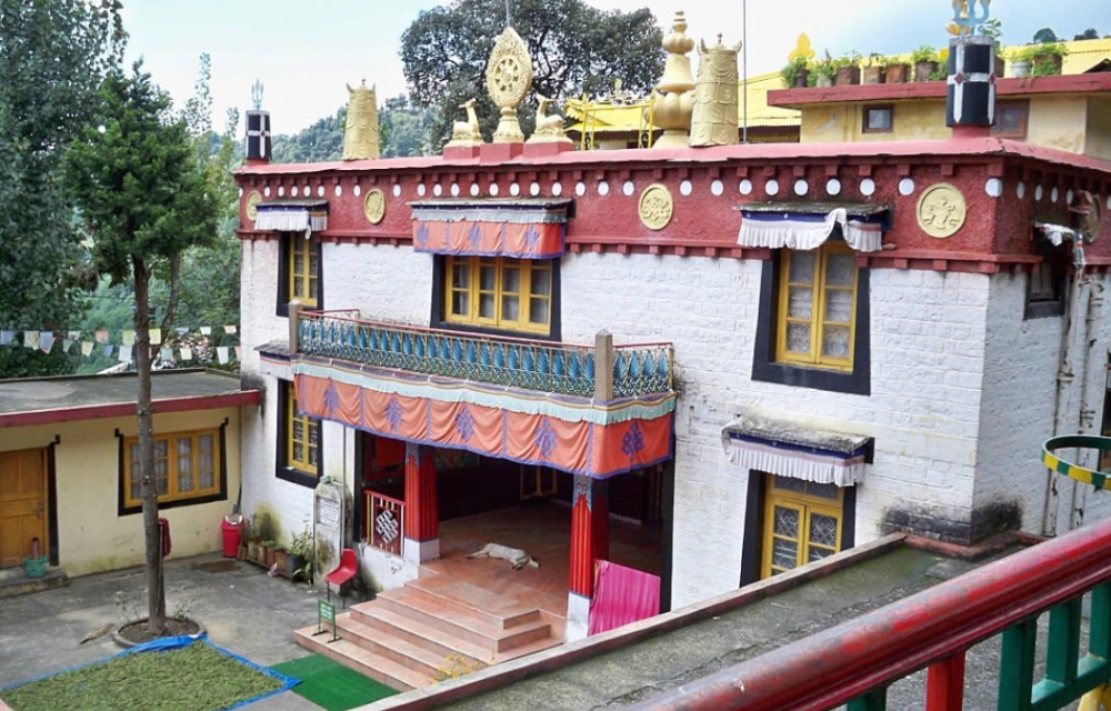 Dalai Lama Temple in Dharamshala  Pictures